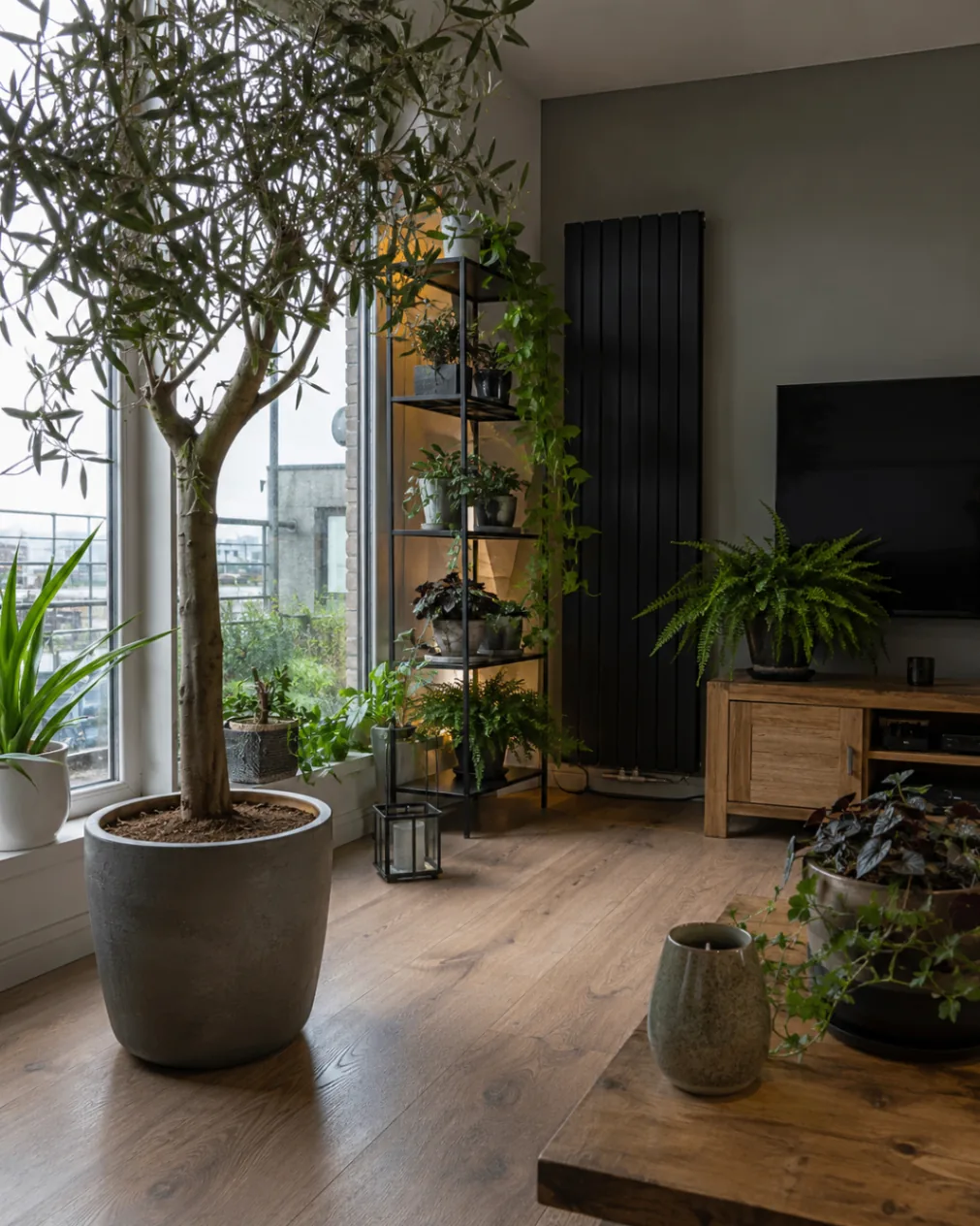 Featured indoor gardens 7